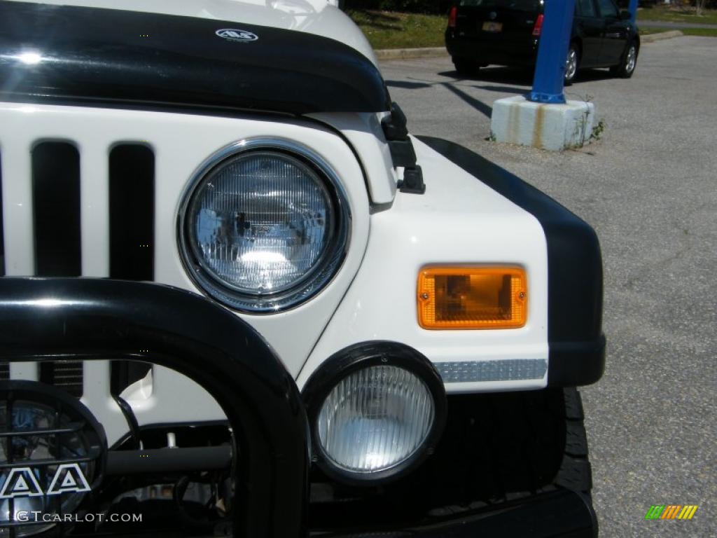2004 Wrangler Rubicon 4x4 - Stone White / Dark Slate Gray photo #9