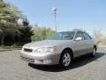 Cashmere Beige Metallic - ES 300 Photo No. 2