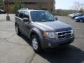 2010 Sterling Grey Metallic Ford Escape XLT 4WD  photo #1