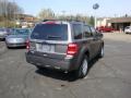 2010 Sterling Grey Metallic Ford Escape XLT 4WD  photo #3