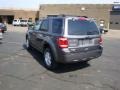 2010 Sterling Grey Metallic Ford Escape XLT 4WD  photo #5