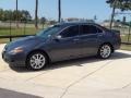 Carbon Gray Pearl - TSX Sedan Photo No. 13