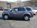 2010 Sterling Grey Metallic Ford Escape XLT 4WD  photo #6