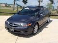 Carbon Gray Pearl - TSX Sedan Photo No. 16