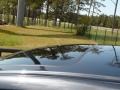 Carbon Gray Pearl - TSX Sedan Photo No. 19
