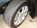 Carbon Gray Pearl - TSX Sedan Photo No. 44