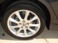 Carbon Gray Pearl - TSX Sedan Photo No. 46