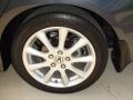 Carbon Gray Pearl - TSX Sedan Photo No. 47
