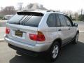 Titanium Silver Metallic - X5 3.0i Photo No. 3