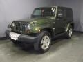 Jeep Green Metallic - Wrangler Sahara 4x4 Photo No. 1