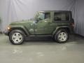 Jeep Green Metallic - Wrangler Sahara 4x4 Photo No. 2