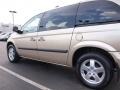 Linen Gold Metallic Pearl - Caravan SXT Photo No. 4