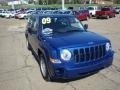 Surf Blue Pearl - Patriot Sport Photo No. 4