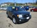 2008 Black Pearl Slate Metallic Ford Escape Limited 4WD  photo #6