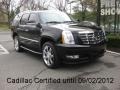 Black Raven - Escalade AWD Photo No. 1