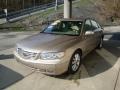 2008 Golden Beige Hyundai Azera Limited  photo #5