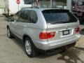 2004 Titanium Silver Metallic BMW X5 4.4i  photo #3