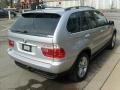 2004 Titanium Silver Metallic BMW X5 4.4i  photo #5