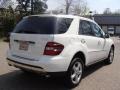 Arctic White - ML 350 4Matic Photo No. 4