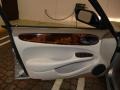 Platinum Metallic - XJ Vanden Plas Photo No. 17