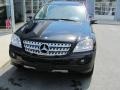 Black - ML 350 4Matic Photo No. 1