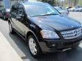 Black - ML 350 4Matic Photo No. 8