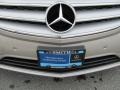 Pewter Metallic - R 350 4Matic Photo No. 22