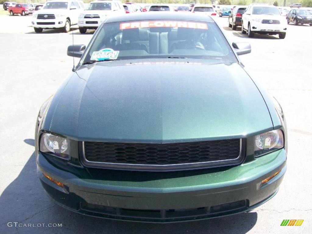 2009 Mustang Bullitt Coupe - Dark Highland Green Metallic / Dark Charcoal photo #5