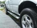 Bright Silver Metallic - Rodeo S V6 Photo No. 9