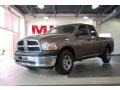 2010 Austin Tan Pearl Dodge Ram 1500 ST Quad Cab 4x4  photo #1