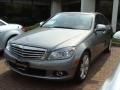 Palladium Silver Metallic - C 300 4Matic Photo No. 1