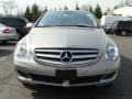 2007 Pewter Metallic Mercedes-Benz R 350 4Matic  photo #2