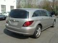 2007 Pewter Metallic Mercedes-Benz R 350 4Matic  photo #4