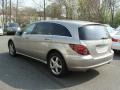 2007 Pewter Metallic Mercedes-Benz R 350 4Matic  photo #6