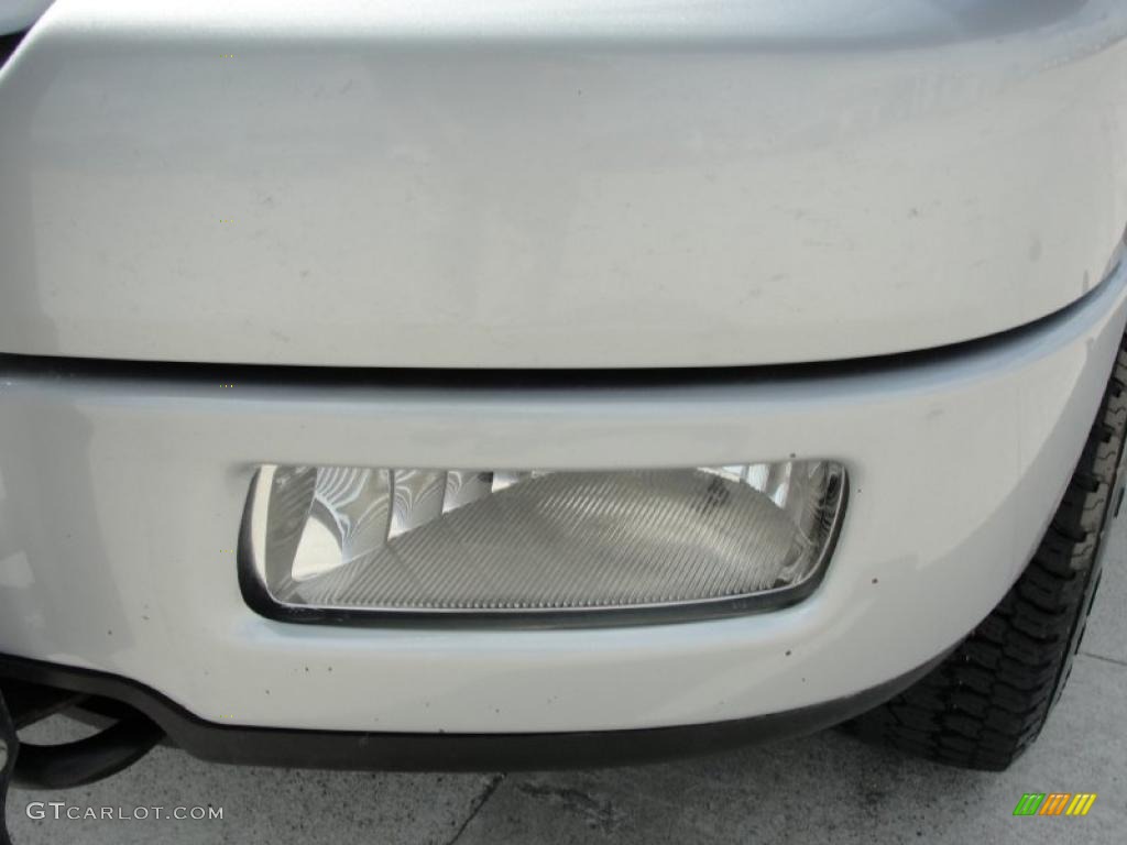 2005 F150 FX4 SuperCrew 4x4 - Silver Metallic / Medium Flint Grey photo #11