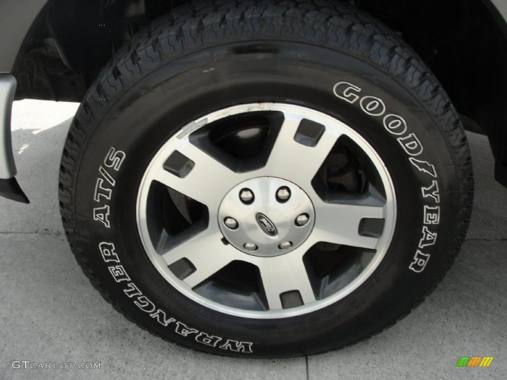 2005 F150 FX4 SuperCrew 4x4 - Silver Metallic / Medium Flint Grey photo #14