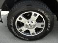 2005 Silver Metallic Ford F150 FX4 SuperCrew 4x4  photo #14