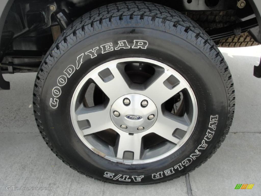 2005 F150 FX4 SuperCrew 4x4 - Silver Metallic / Medium Flint Grey photo #15