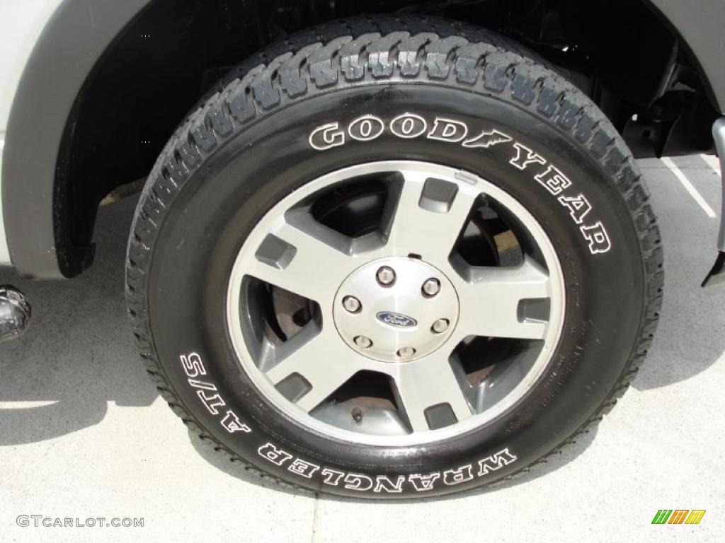 2005 F150 FX4 SuperCrew 4x4 - Silver Metallic / Medium Flint Grey photo #17