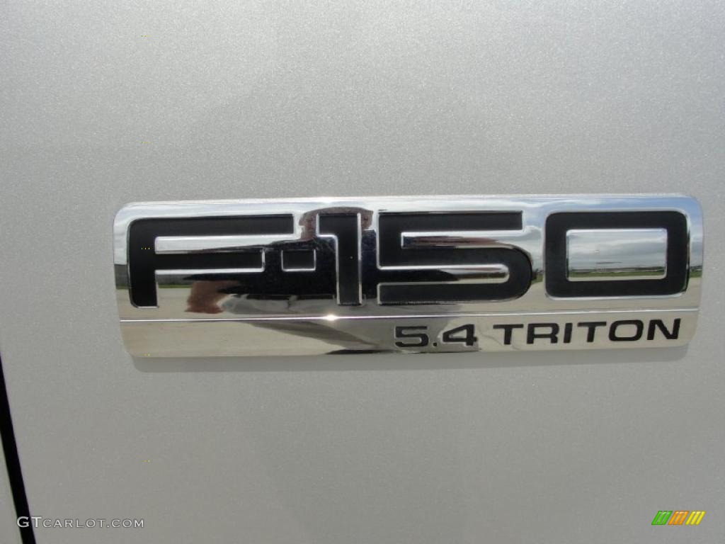 2005 F150 FX4 SuperCrew 4x4 - Silver Metallic / Medium Flint Grey photo #18