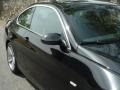 2008 Black Sapphire Metallic BMW 3 Series 335i Coupe  photo #32