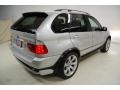 2006 Titanium Silver Metallic BMW X5 4.8is  photo #6