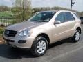 Desert Silver Metallic - ML 350 4Matic Photo No. 1