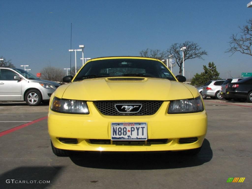 2001 Mustang V6 Convertible - Zinc Yellow Metallic / Dark Charcoal photo #8