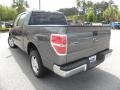 2010 Sterling Grey Metallic Ford F150 XLT SuperCrew  photo #15