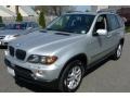 Titanium Silver Metallic - X5 3.0i Photo No. 5