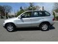 Titanium Silver Metallic - X5 3.0i Photo No. 8