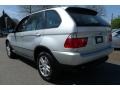 Titanium Silver Metallic - X5 3.0i Photo No. 10