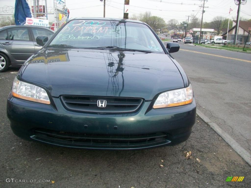 2003 Accord LX Sedan - Noble Green Pearl / Ivory photo #6