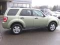 Kiwi Green Metallic - Escape XLT Photo No. 2